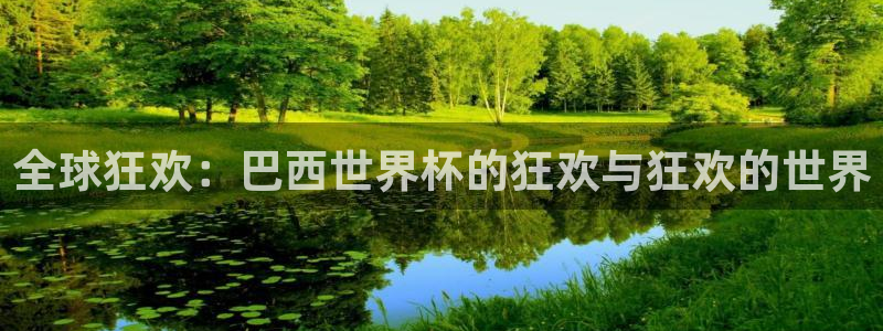 2026世界杯南美区积分榜：全球狂欢：巴西世界杯的狂欢与狂欢的世界