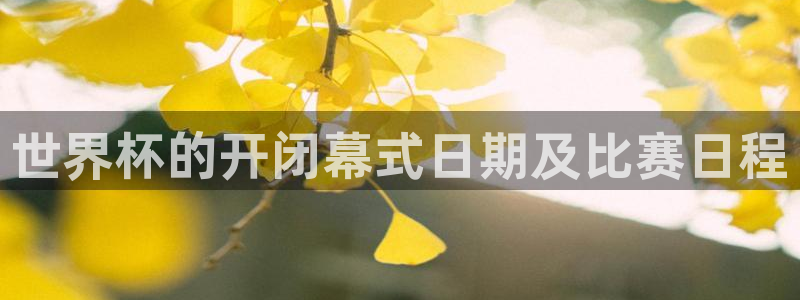 世界杯在线直播：世界杯的开闭幕式日期及比赛日程