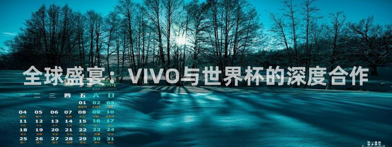 世界杯预选赛规则：全球盛宴：VIVO与世界杯的深度合作