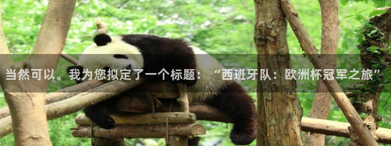 2026年世界杯赛程：当然可以。我为您拟定了一个标题：“西班牙队：欧洲杯冠军之旅”