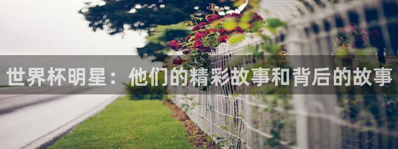 26世界杯：世界杯明星：他们的精彩故事和背后的故事