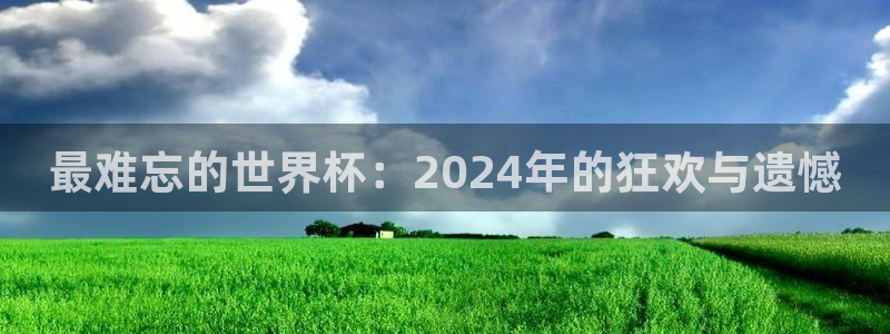 2026世界杯南美区积分榜：最难忘的世界杯：2024年的狂欢与遗憾