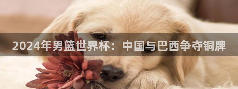 世界直播：2024年男篮世界杯：中国与巴西争夺铜牌