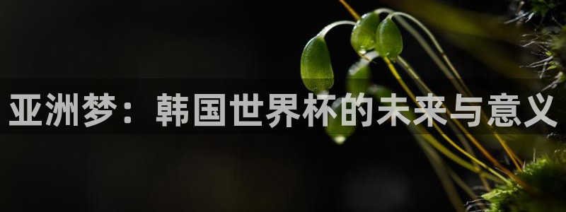 世界杯比赛赛程：亚洲梦：韩国世界杯的未来与意义