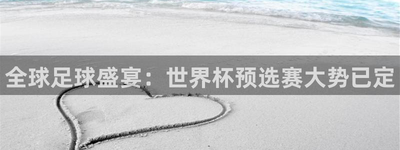 世界杯足球比赛：全球足球盛宴：世界杯预选赛大势已定