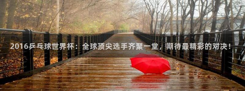 澳门世界杯直播：2016乒乓球世界杯：全球顶尖选手齐聚一堂，期待最精彩的对决！