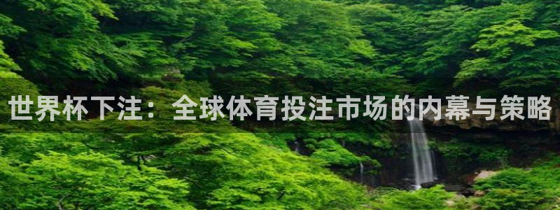 世界杯预选赛欧洲区赛程：世界杯下注：全球体育投注市场的内幕与策略