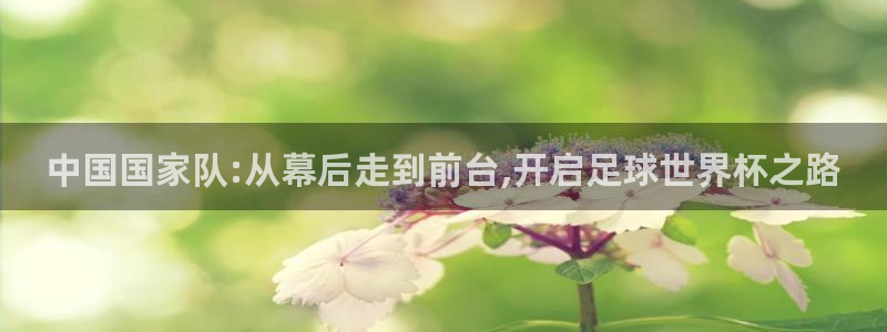 2026世界杯亚洲预选赛赛程：中国国家队:从幕后走到前台,开启足球世界杯之路