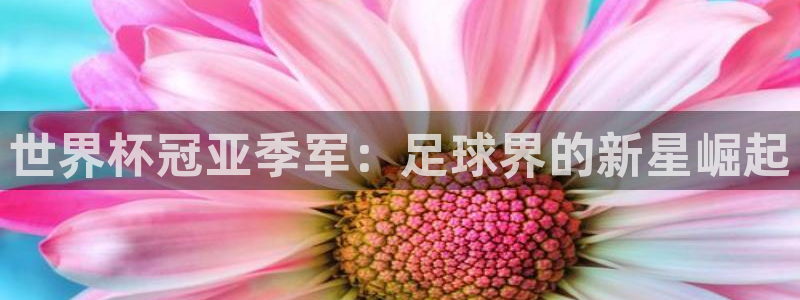 世界杯赛程表2026：世界杯冠亚季军：足球界的新星崛起